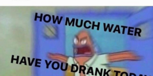 10+Funny+Water+Memes+for+your+Thirsty+Self