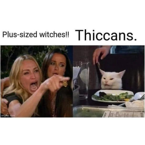 Witch Computer Memes 10 Funny Witch Memes Better than Hex