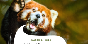 Community Forum Post: What’s Your Favorite Animal? (Mar 6, 2024)