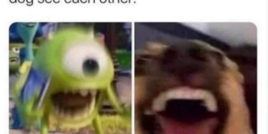 10 Funny Dog Memes to Chase After
