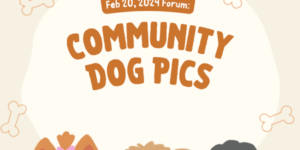 Forum Post: Community Dog Pics (Feb 20, 2024)