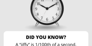 10 Useless Facts to Waste Your Time