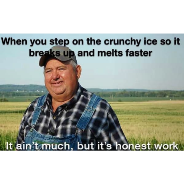 10 Funny Spring Memes To Warm You Up