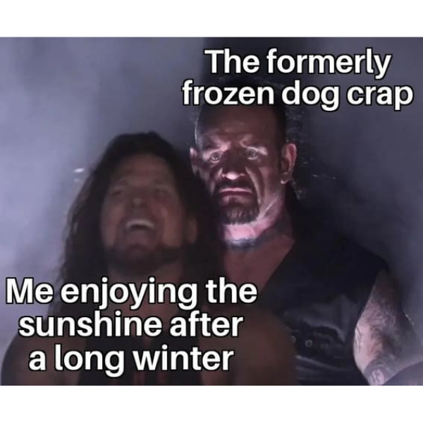 10 Funny Spring Memes To Warm You Up