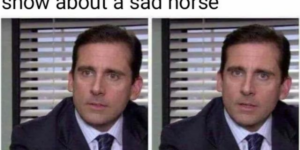 10 Funny Bojack Horseman Memes to Binge