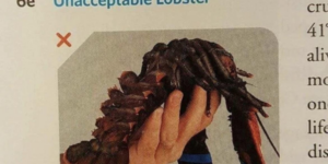10 Funny Textbook Memes & Funny Things in Information Sources because Humor is Helpful