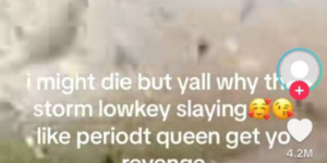 10 Wild TikTok Screenshots to Make you go “…what?”
