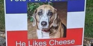 13 Funny Dog Memes to Stop and Sniff for too Long