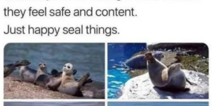 Weekly Dose of Wholesome Memes to Show There’s Joy in the World (Megadump!) (Jun 29)