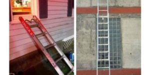 10 Funny Firefighter Memes to Save Cats from Trees