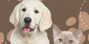 Community Forum Post: Your Childhood Pet (July 2024)