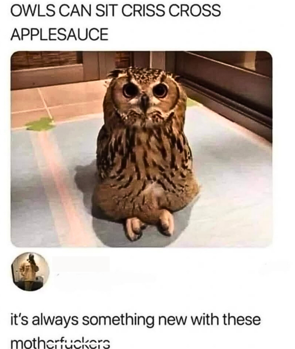 111-77067.png