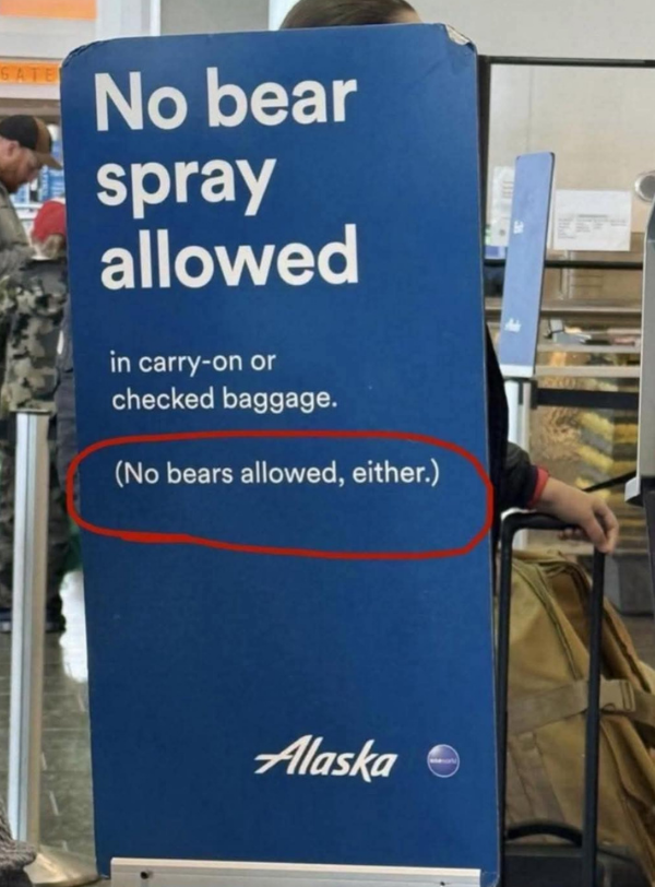 emotional support bear denied