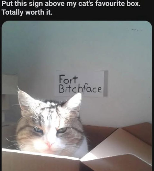 5-53471.png