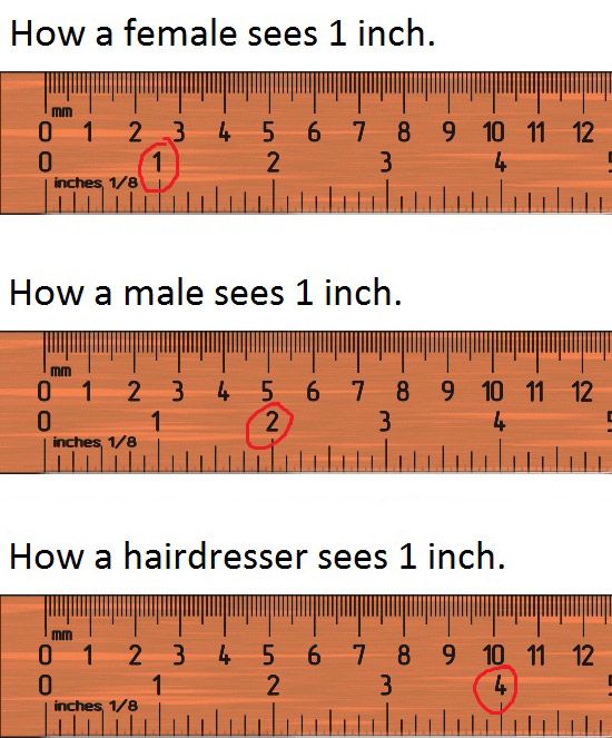libracorndesigns: How Long Is 11 Inches.